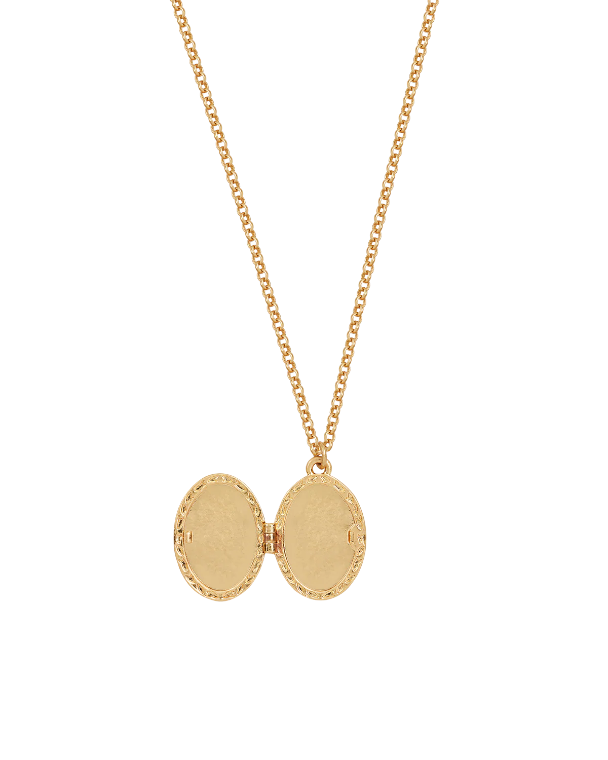 Gold Robin & Blackberry Locket Necklace - Image 3